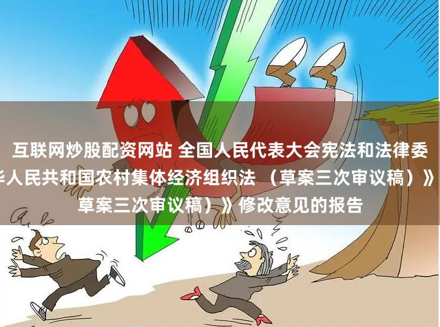 互联网炒股配资网站 全国人民代表大会宪法和法律委员会关于 《中华人民共和国农村集体经济组织法 （草案三次审议稿）》修改意见的报告