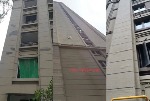 长沙一房产公司被指房屋品质差 林变竹林 下雨可划船