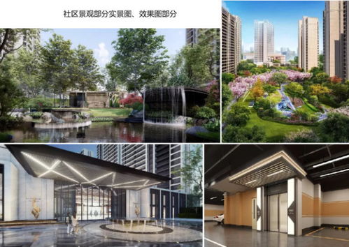 2020年产品力 ▏入围品质项目路演报告合集 房产长沙站