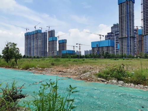 长沙 房住不炒 真相调查 收入涨幅跑赢房价,刚需很幸福,炒房客最尴尬