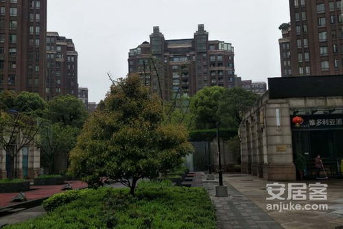 长沙奥林匹克花园优点 不足,长沙奥林匹克花园怎么样,长沙奥林匹克花园周边房产中介经纪人评价