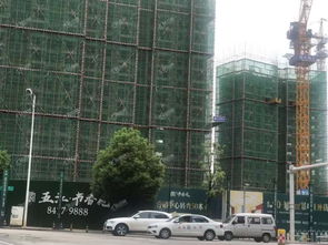 天心区8月推出新盘 地铁盘 青园教育资源,均价9500元 平